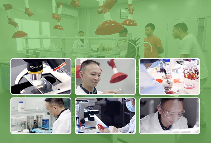 如何選擇質量好的防黴片呢？